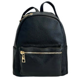 Small TL Backpack
